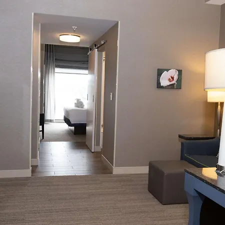 Hilton Garden Inn Austin Airport Exterior photo