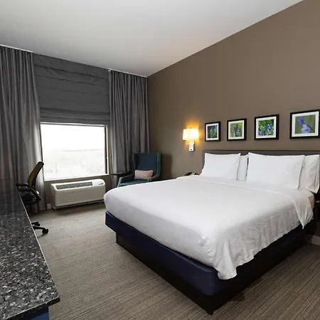Hilton Garden Inn Austin Airport Exterior photo