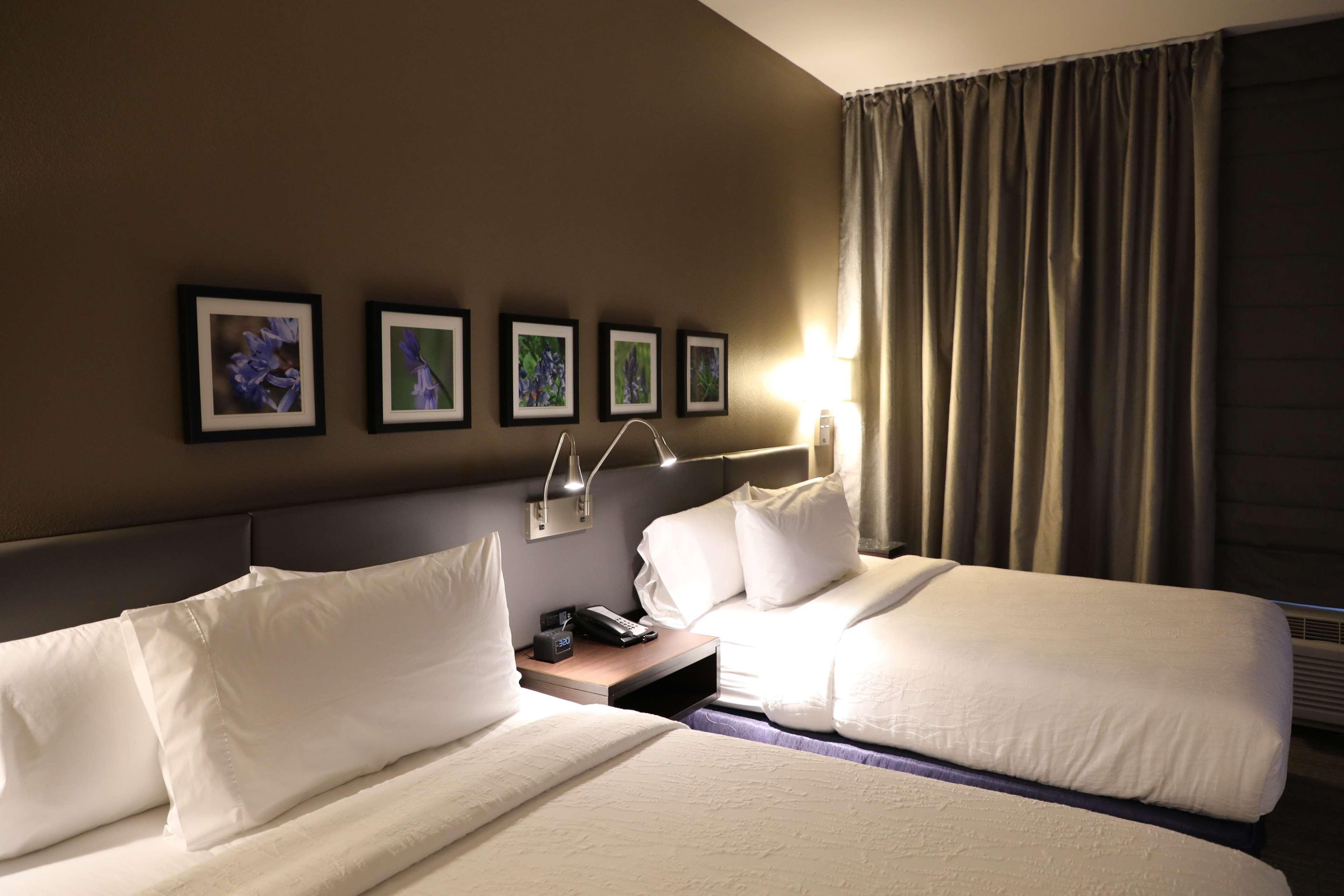 Hilton Garden Airport Hotel Austin